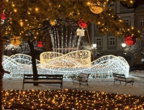 Uroczyste zapalenie choinki